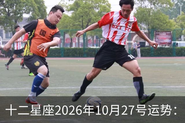 十二星座2026年10月27号运势：得不到，莫强求