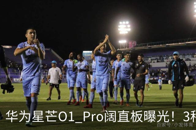 华为星芒O1 Pro阔直板曝光！3种配色、4档存储，性价比新机要来了