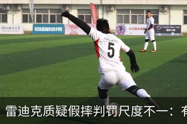 雷迪克质疑假摔判罚尺度不一：有接触就不算假摔？